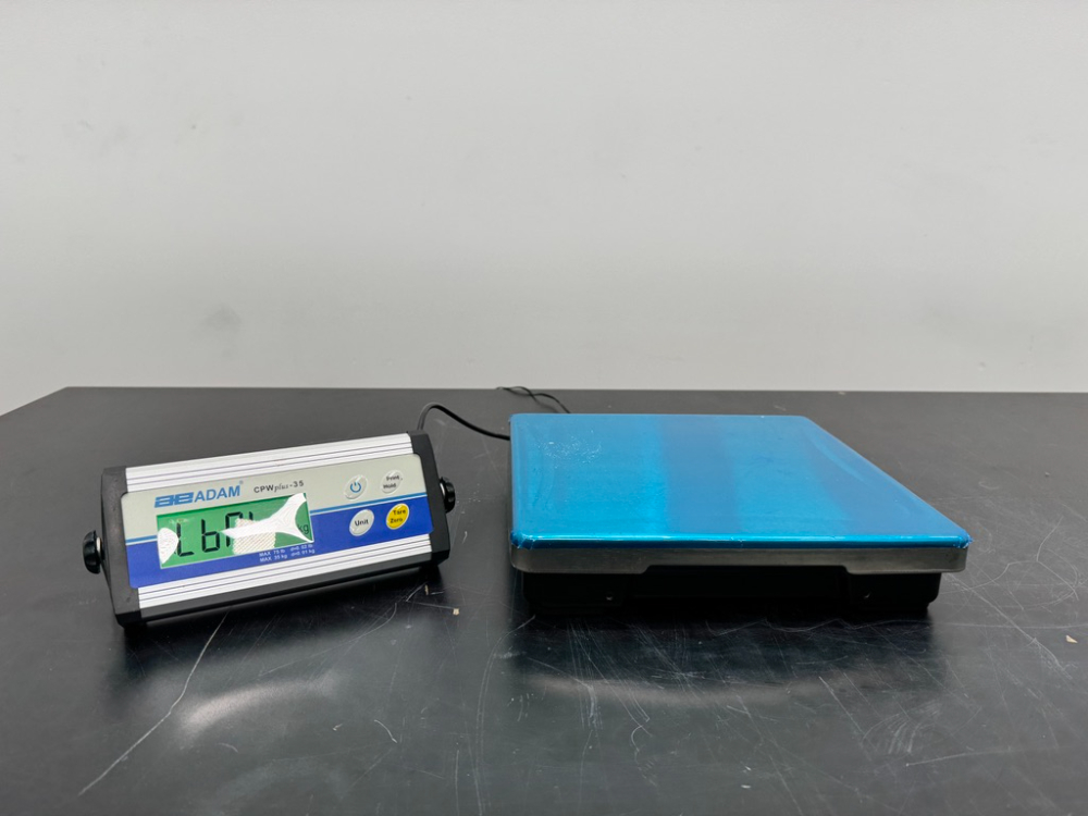 Image of Adam Equipment CPWplus-35 Bench Scale